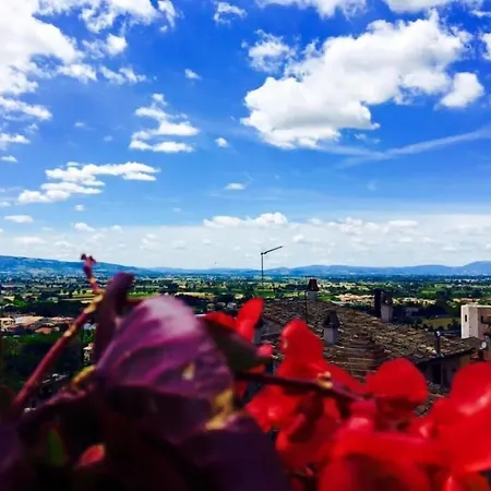 Palazzo Bocci Hotel 4*