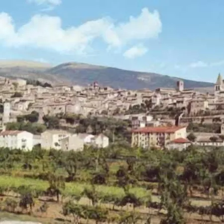 מלון Palazzo Bocci 4*