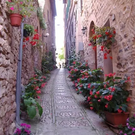 Palazzo Bocci 4* ספלו