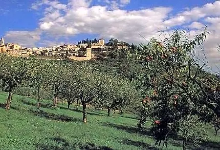 Palazzo Bocci