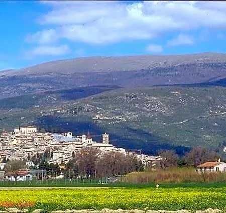 Palazzo Bocci 4* ספלו