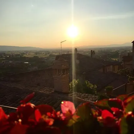 Palazzo Bocci ספלו