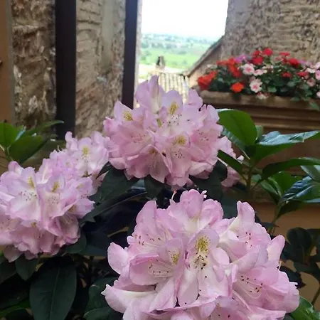 מלון Palazzo Bocci