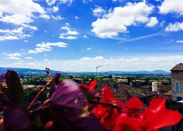 Palazzo Bocci Hotel 4*