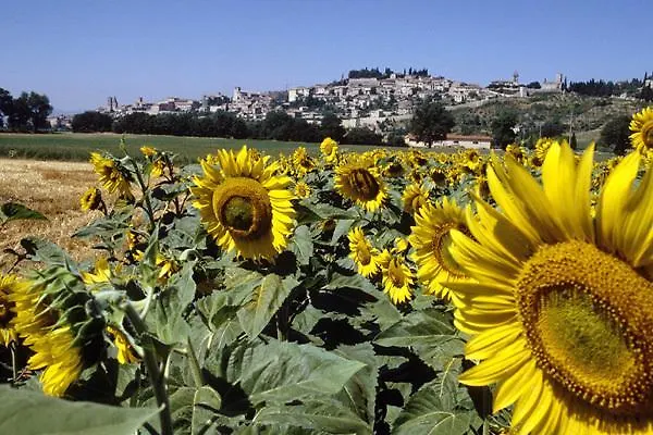 Hotel Palazzo Bocci 4*
